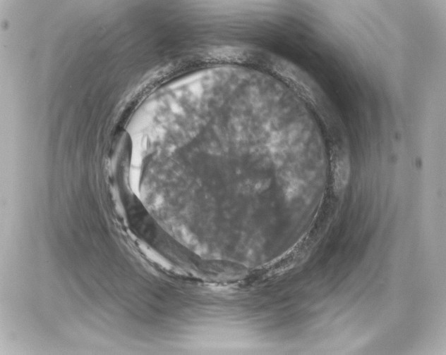 X0000085300729200704092257