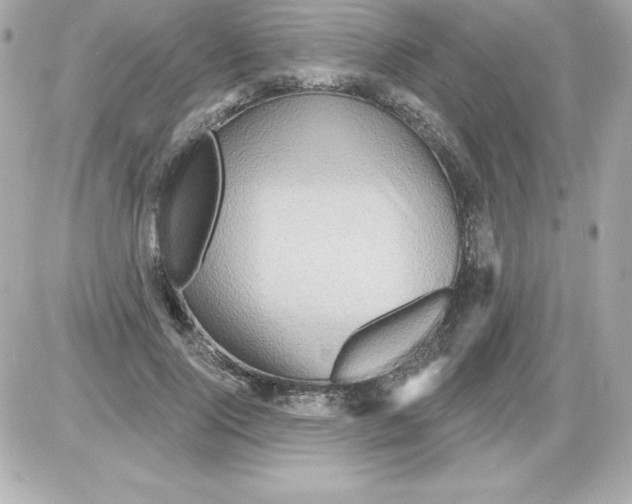 X0000085300740200704092257