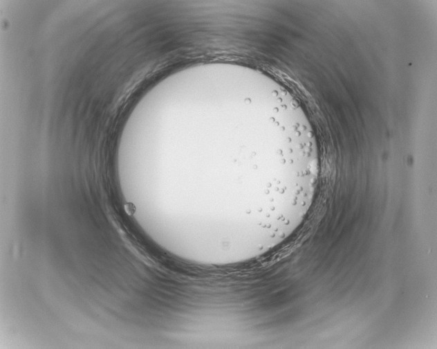 X0000085300742200704092257