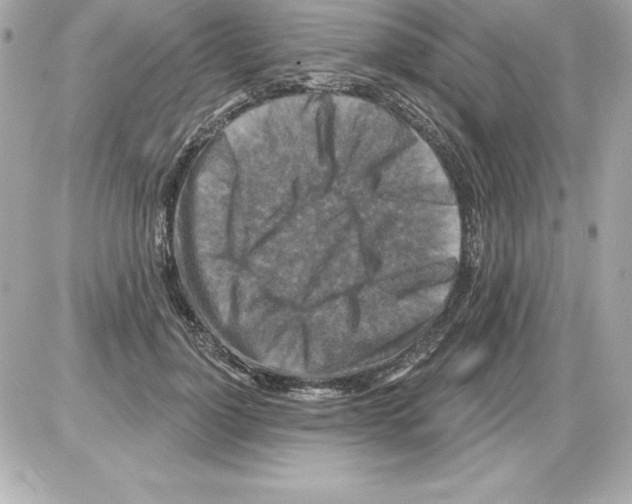 X0000085300748200704092257