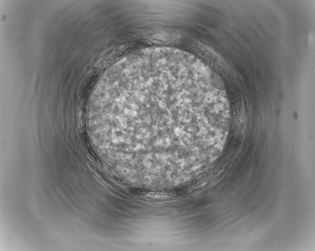X0000085300749200704092257
