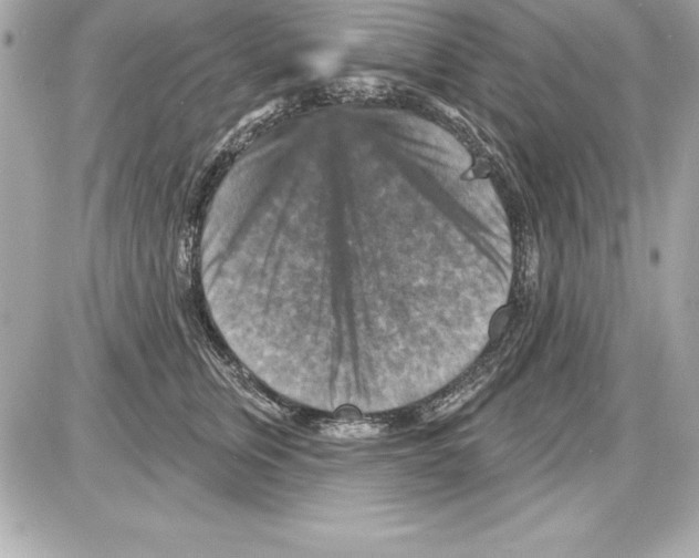 X0000085300759200704092257