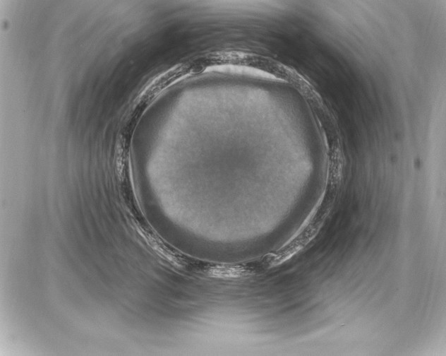 X0000085300762200704092257