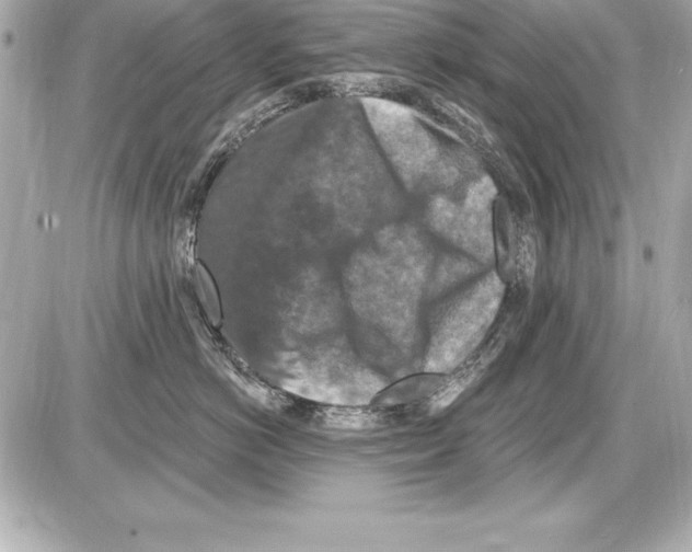 X0000085300766200704092257