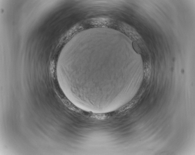 X0000085300767200704092257