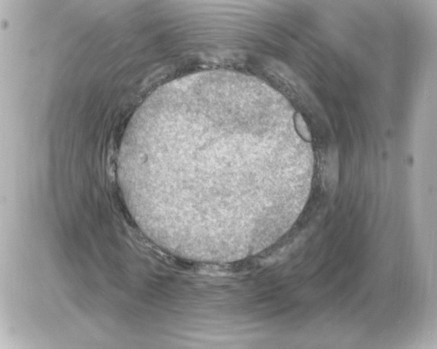 X0000085300770200704092257
