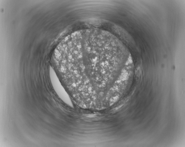 X0000085300772200704092257