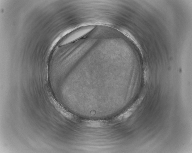X0000085300781200704092256