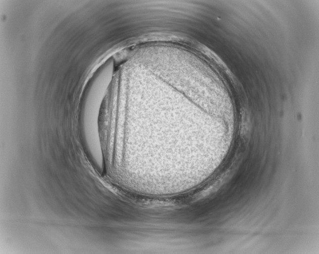 X0000085300786200704092256