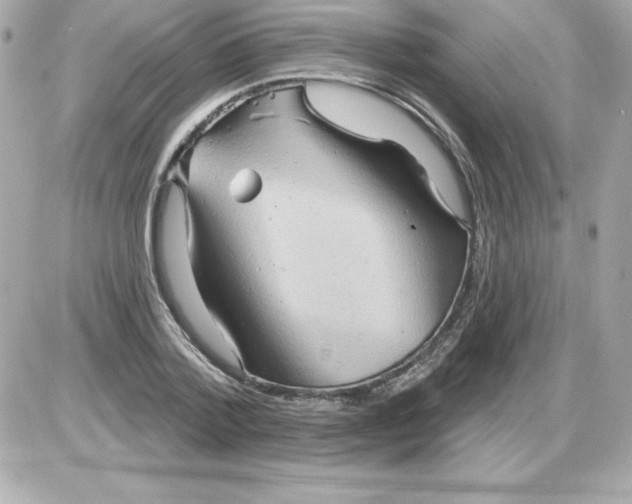 X0000085300788200704092256