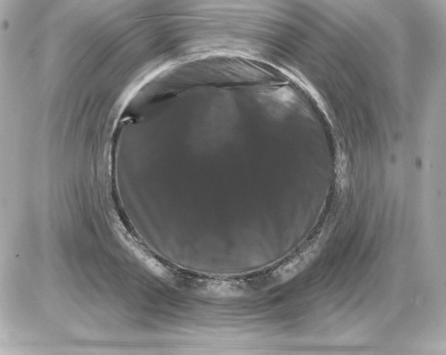 X0000085300790200704092256
