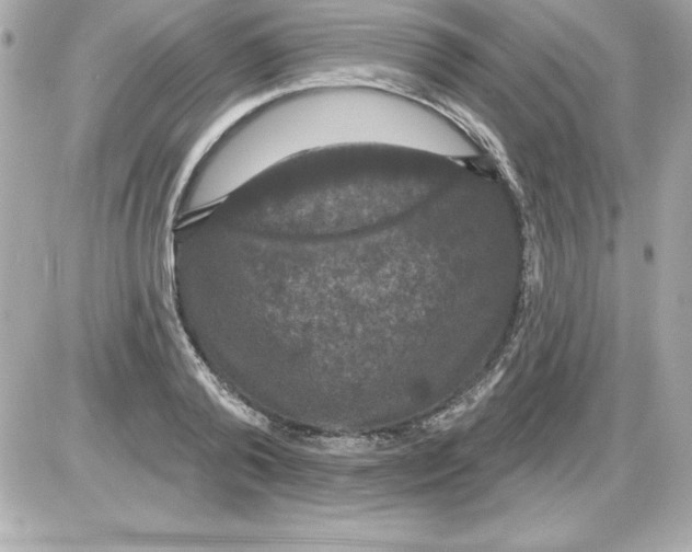 X0000085300792200704092256