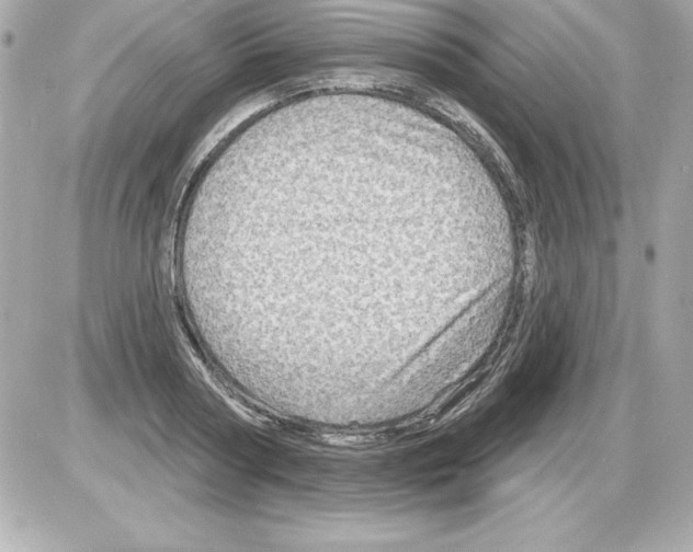 X0000085300794200704092256