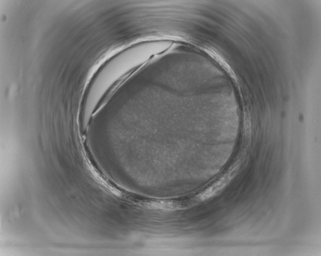 X0000085300797200704092256