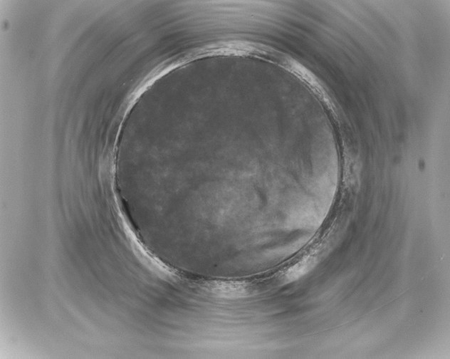 X0000085300802200704092256