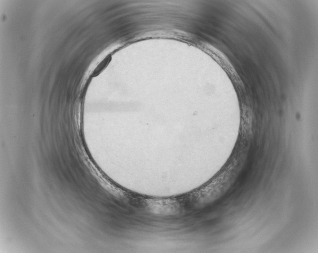 X0000085300804200704092256