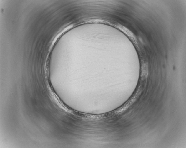 X0000085300806200704092256