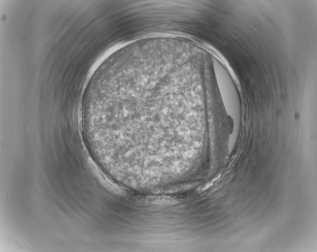 X0000085300811200704092256