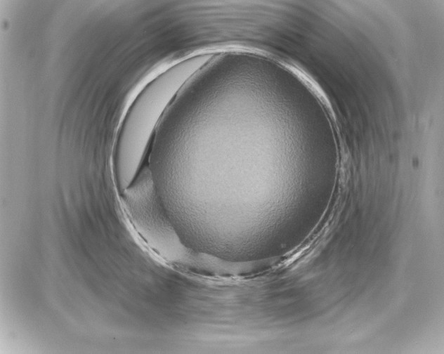 X0000085300813200704092256