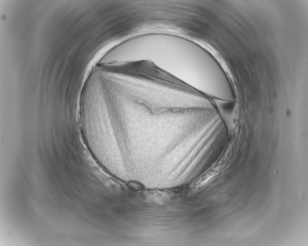 X0000085300815200704092256