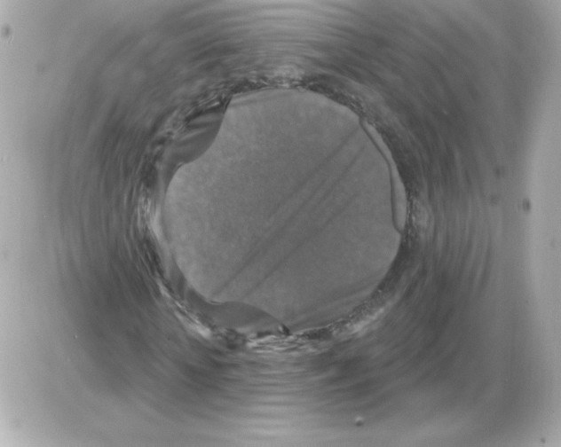 X0000085300818200704092255