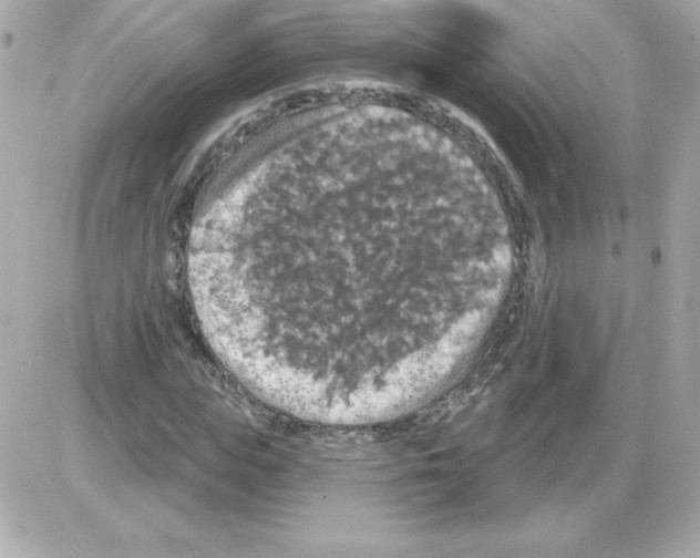 X0000085300823200704092255