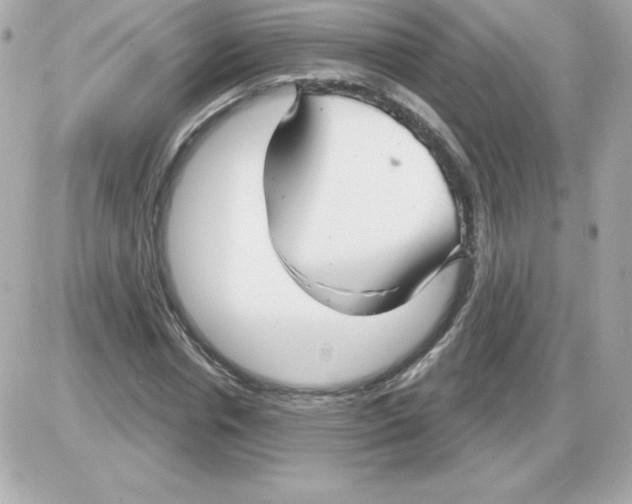 X0000085300826200704092255