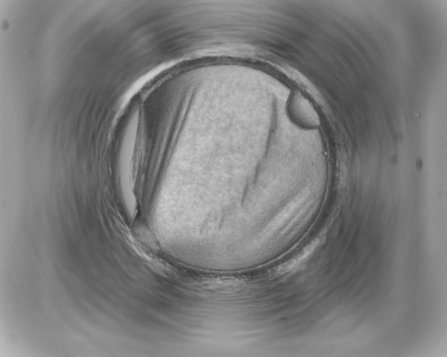 X0000085300830200704092255