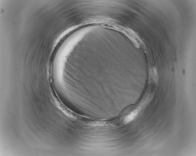 X0000085300846200704092256