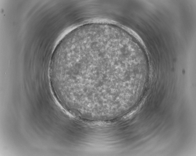 X0000085300847200704092256