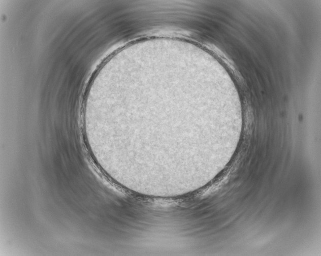 X0000085300848200704092256