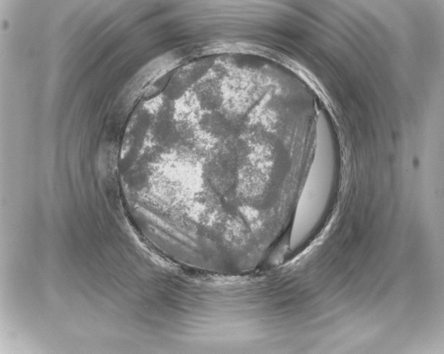 X0000085300849200704092256