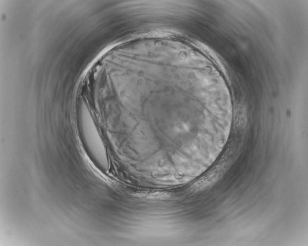 X0000085300851200704092256