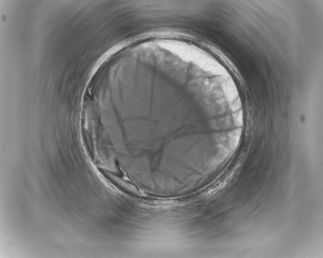 X0000085300853200704092256