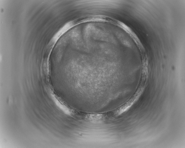 X0000085300858200704092256
