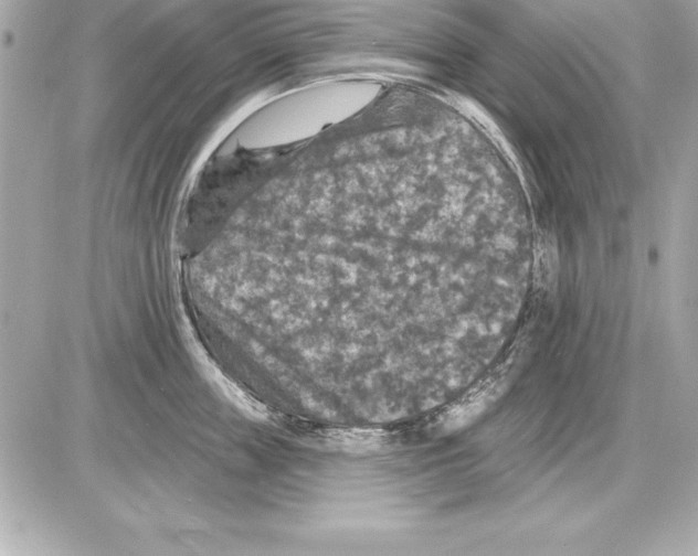 X0000085300859200704092256
