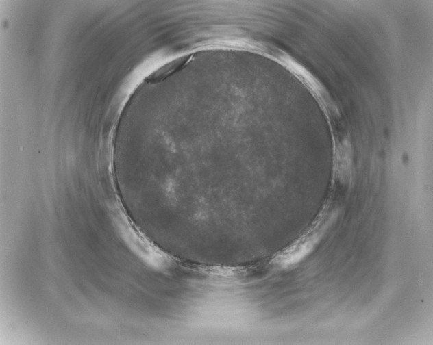 X0000085300862200704092256
