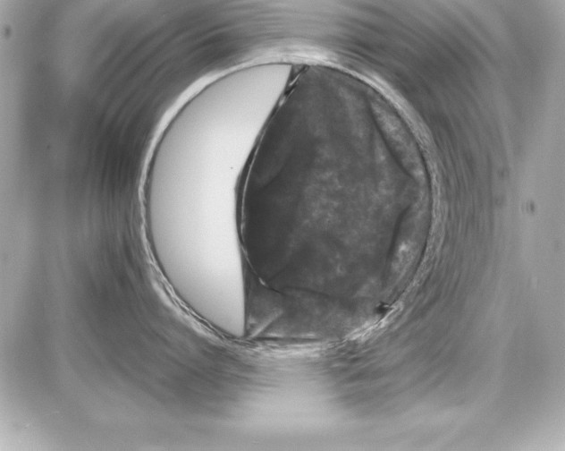 X0000085300864200704092256