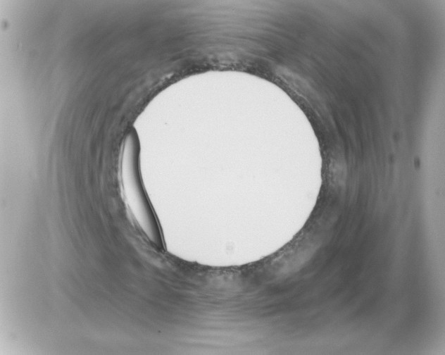 X0000085300865200704092255