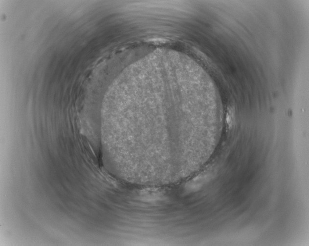 X0000085300867200704092255