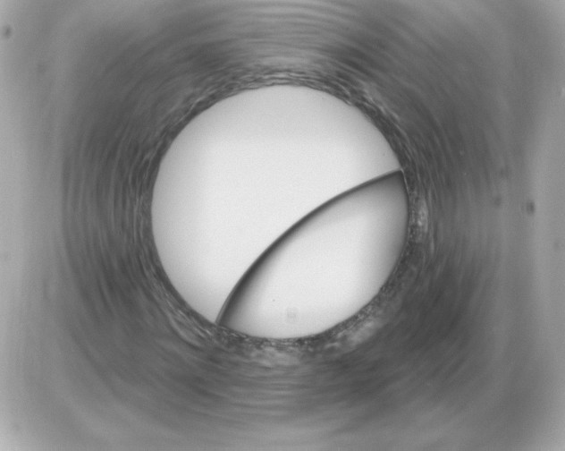 X0000085300868200704092255