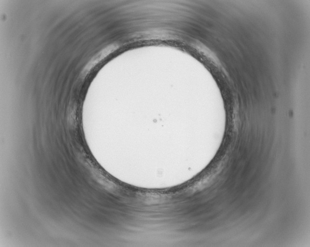 X0000085300873200704092255