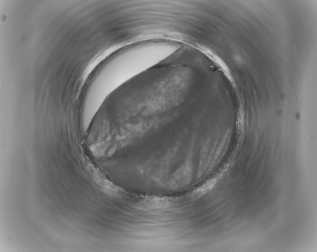 X0000085300877200704092255