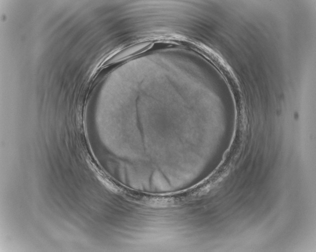 X0000085300889200704092255