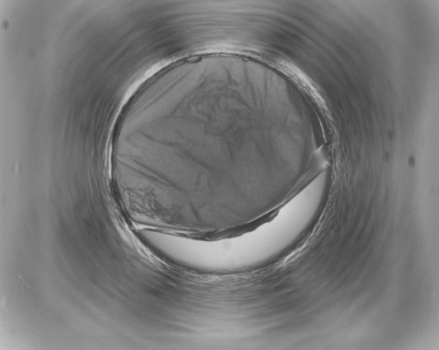 X0000085300892200704092255