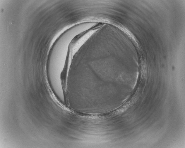 X0000085300896200704092255