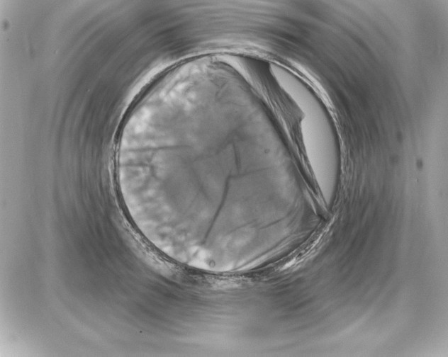 X0000085300899200704092255