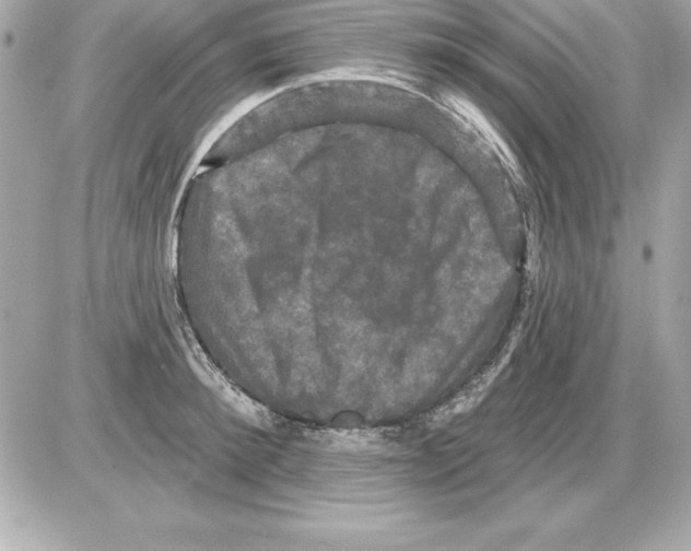 X0000085300900200704092254