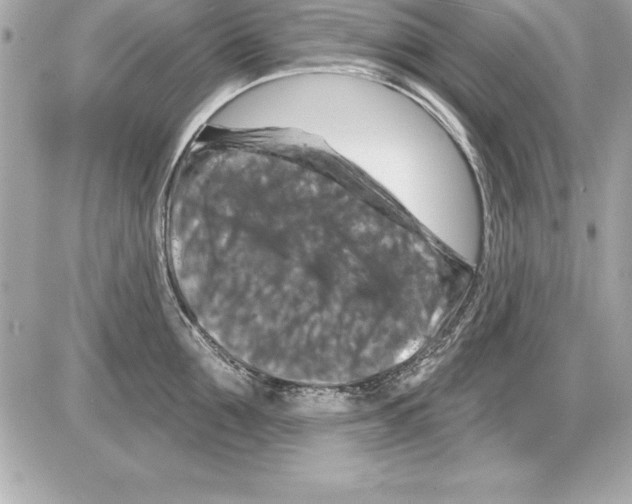X0000085300907200704092254