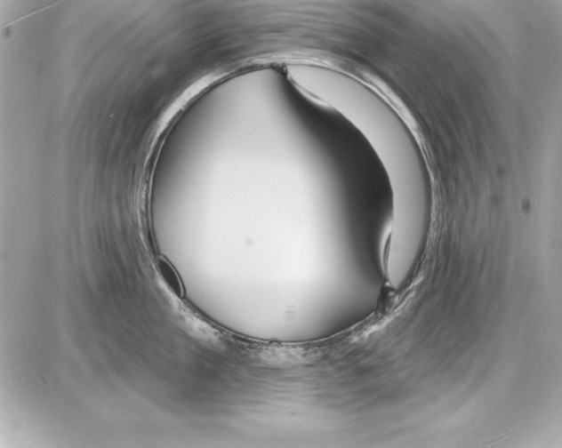 X0000085300909200704092254